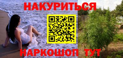 скорость Новозыбков