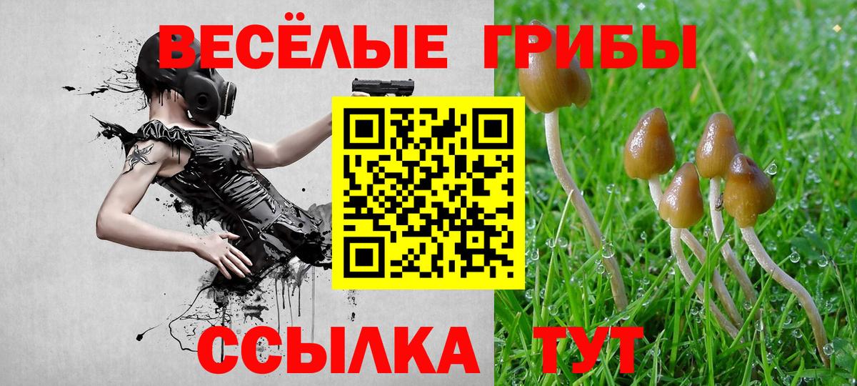 Галлюциногенные грибы Cubensis  Вход с VPN  Тверь  Галлюциногенные грибы Psilocybine cubensis 