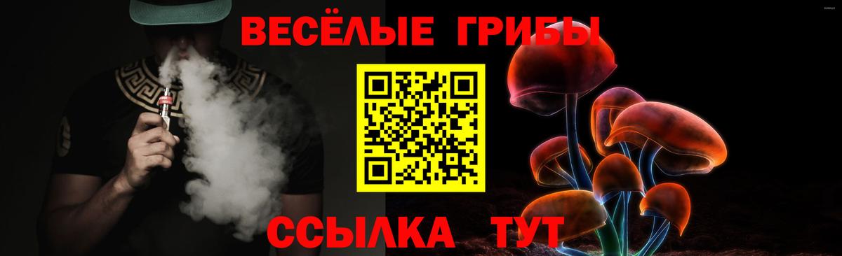 Галлюциногенные грибы MAGIC MUSHROOMS Тверь